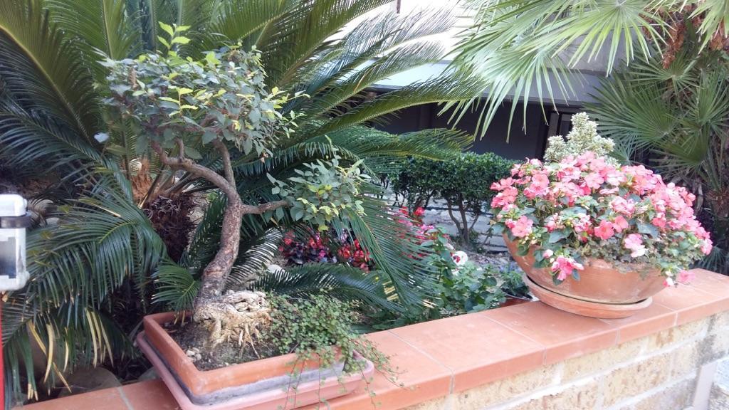 B&B Mirella Citta Sant'Angelo Exterior photo